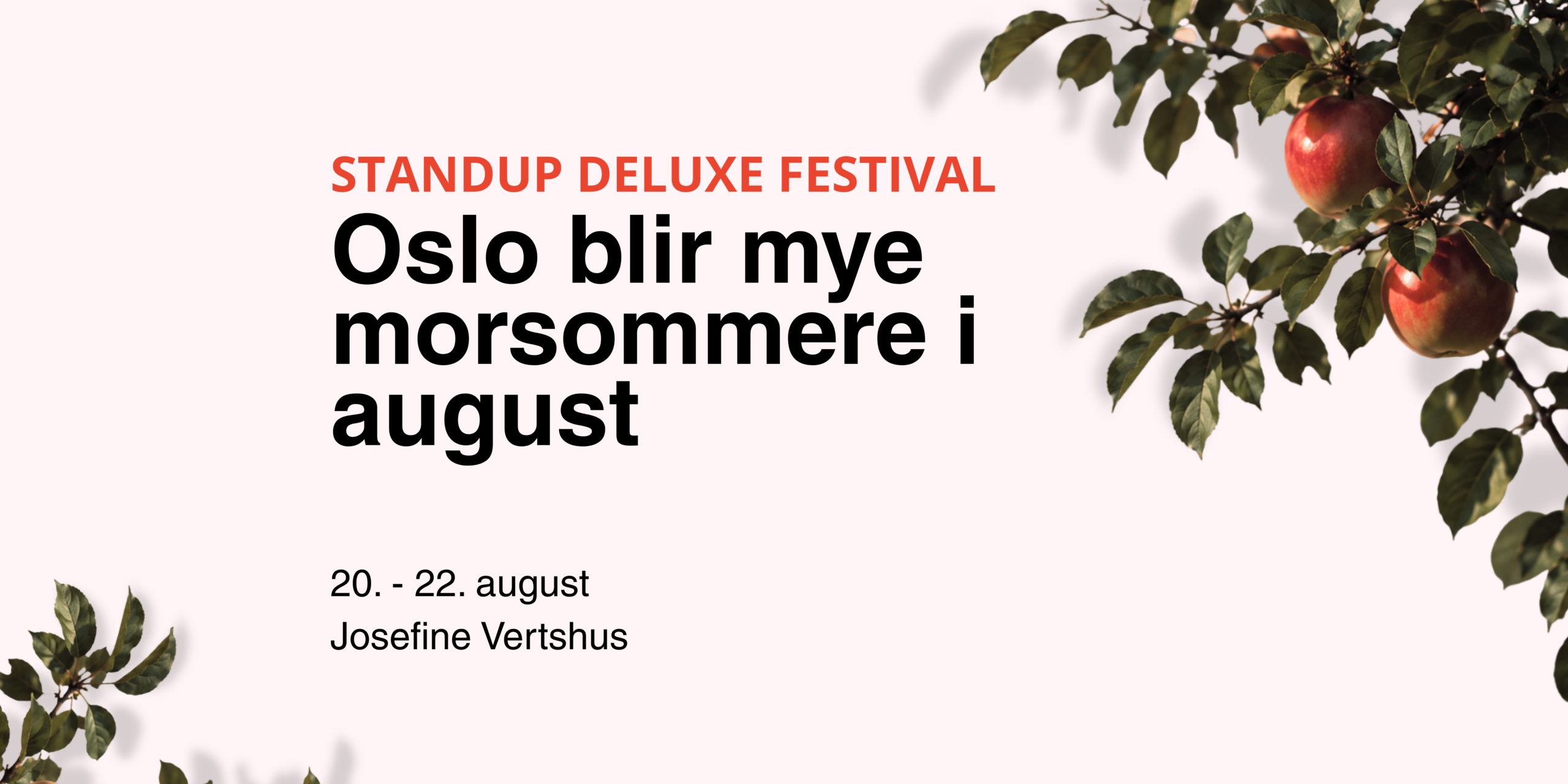 Lansering av standup deluxe festival